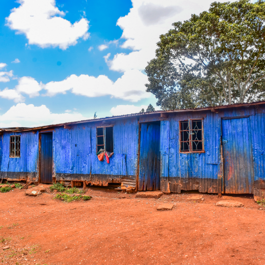 Cornerstone school project support