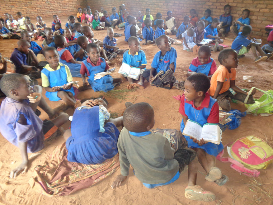 Donate to Life Concern: Build Safe Classrooms for Ng’onga Learners