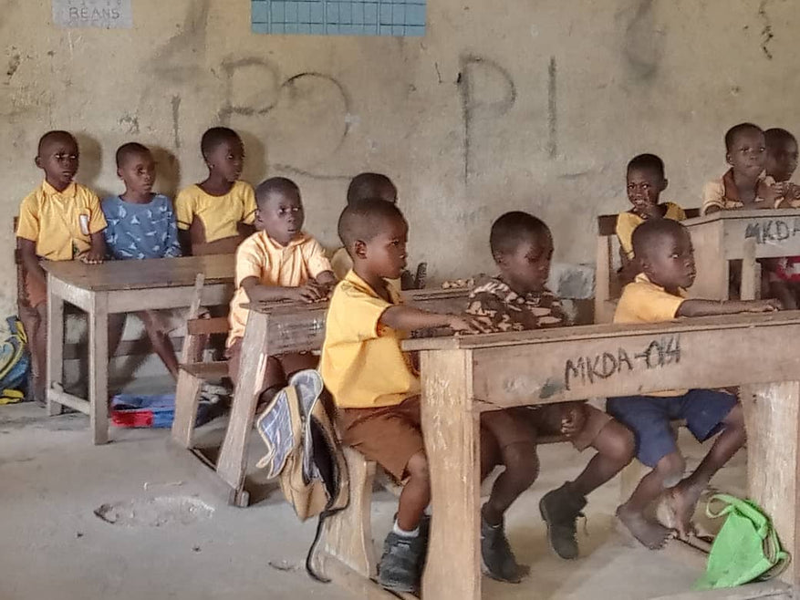 Ajude a Child Survival Aid Ghana a criar uma escola modelo na comunidade de Mafi-Kpeyibor