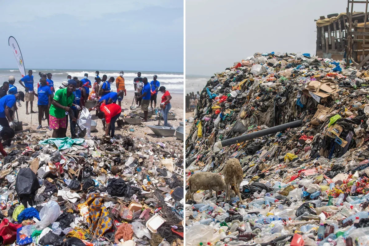 Why One-Day Beach Cleanups Are Not Enough