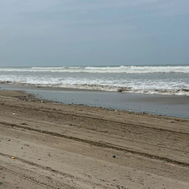 Help UniMAC Students Take Action for Cleaner Beaches
