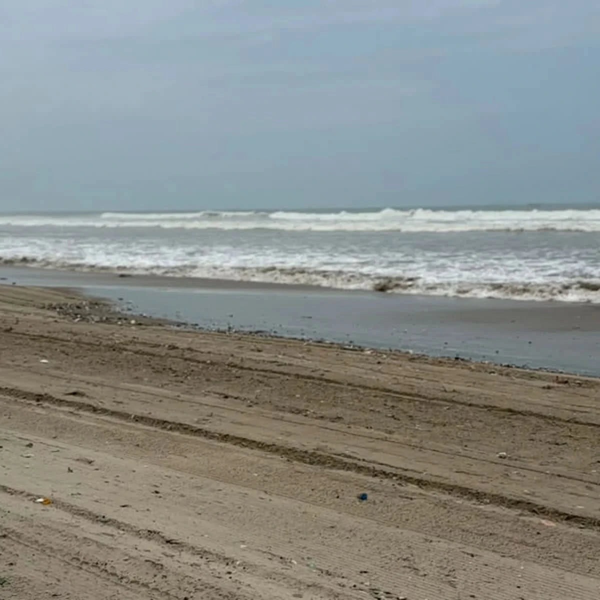 Help UniMAC Students Take Action for Cleaner Beaches