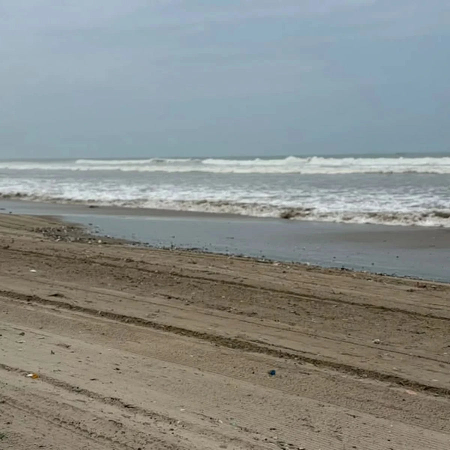 Help UniMAC Students Take Action for Cleaner Beaches