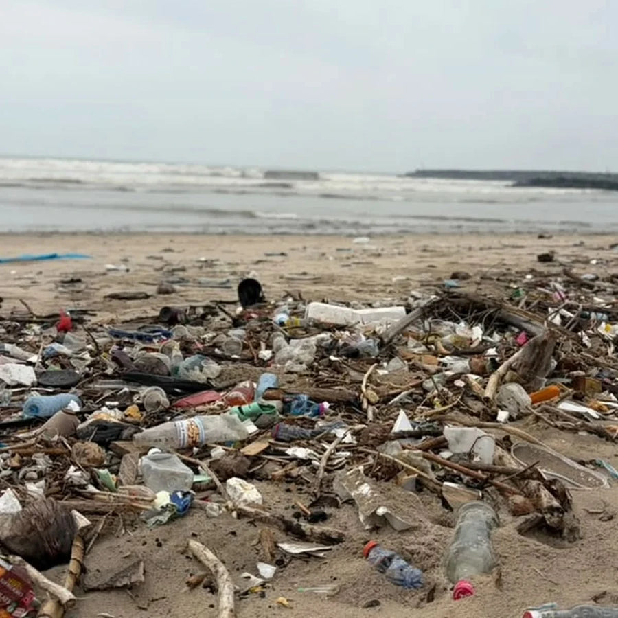 Help UniMAC Students Take Action for Cleaner Beaches