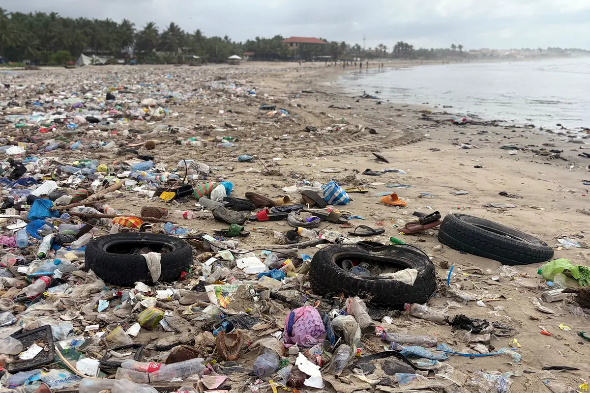 Support Beach Cleanup and Coastal Restoration in Ghana