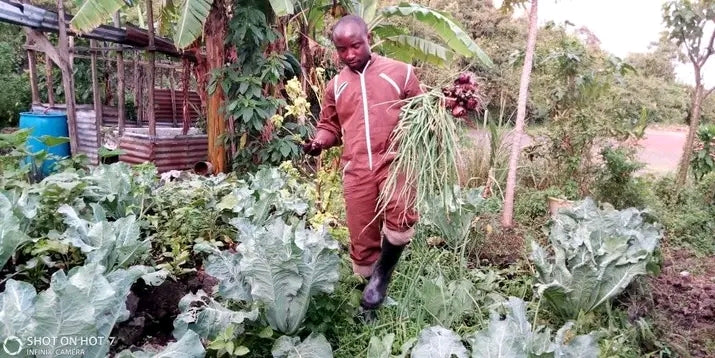 Donate to LIPPSD and Empower Families with Sustainable Home Gardens in DR Congo