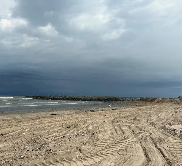 Restored section of Ananse Beach after Mayekoo's initial cleanup intervention