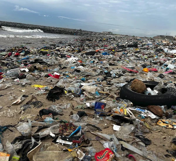Ananse Beach shoreline in Nungua before Mayekoo's initial cleanup intervention