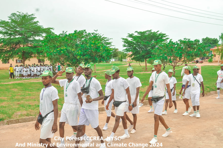 Donate to ICCREA's City Forest Initiative in Jalingo, Nigeria