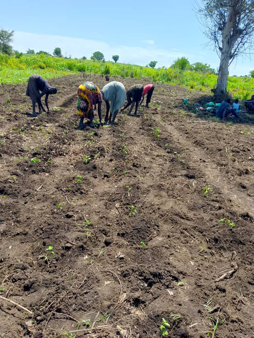 Join Women Relief Aid in Fighting Hunger in Nyong Payam, South Sudan