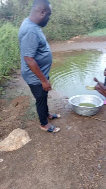 Support True Future Foundation & Provide Safe Drinking Water, Health, and Opportunity in Ho, Ghana.
