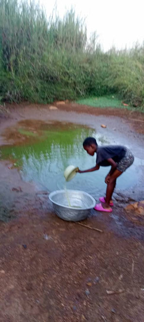 Support True Future Foundation & Provide Safe Drinking Water, Health, and Opportunity in Ho, Ghana.