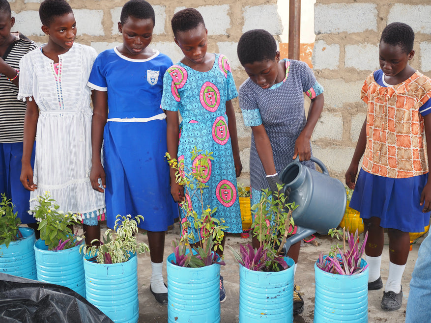 Donate to Circularize for Change’s C4C Butterfly Effect and Spark Eco Innovation