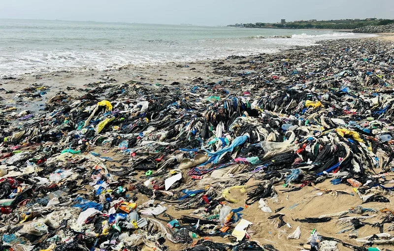 Polluted Shoreline