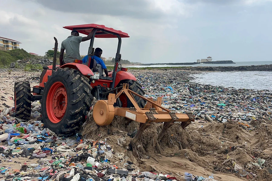 Beach Cleanups