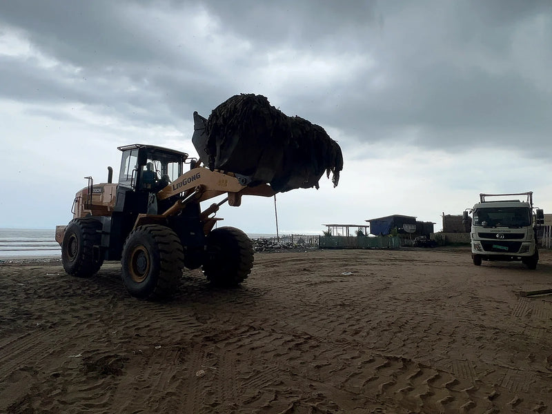 Orange loader lifting a large clump of dark debris on a sandy beach