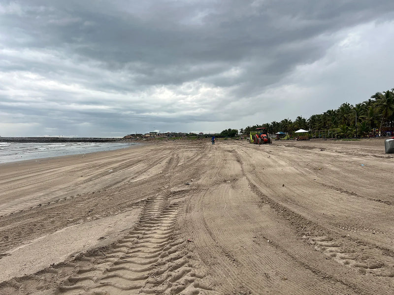 Wide sandy shoreline with tire tracks, a distant tractor, and palm trees