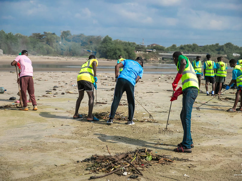 People in yellow vests raking debris into small piles on a sandy beach