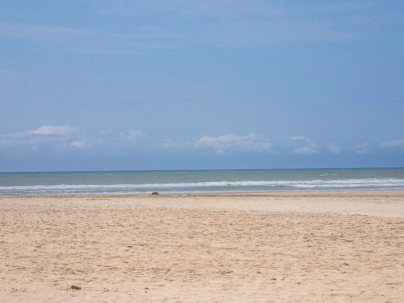 Open sandy beach meeting calm water under a pale sky