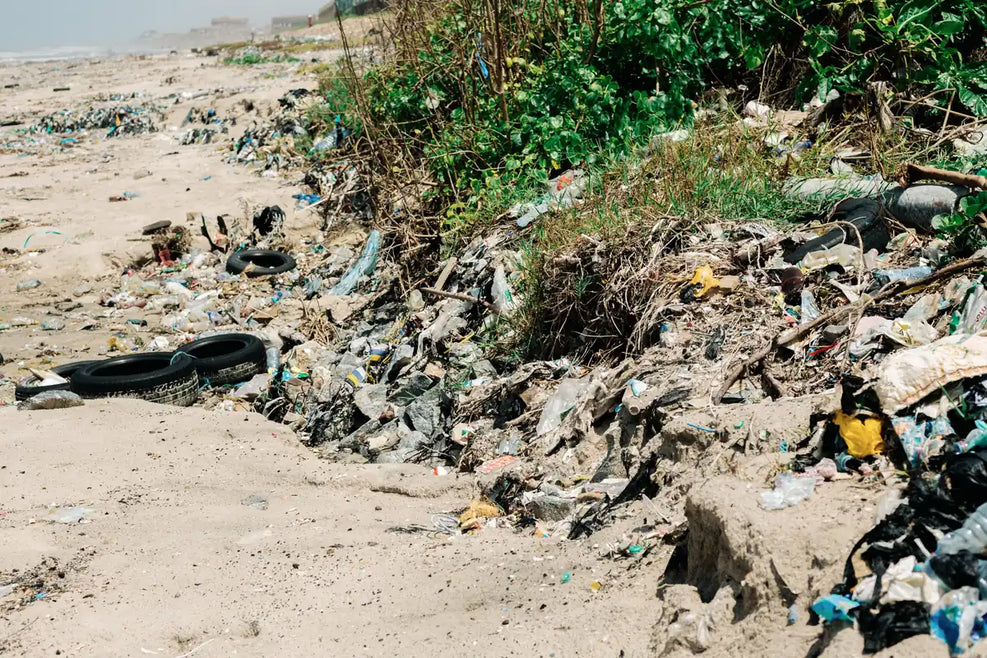 Support Beach Cleanup and Coastal Restoration in Ghana