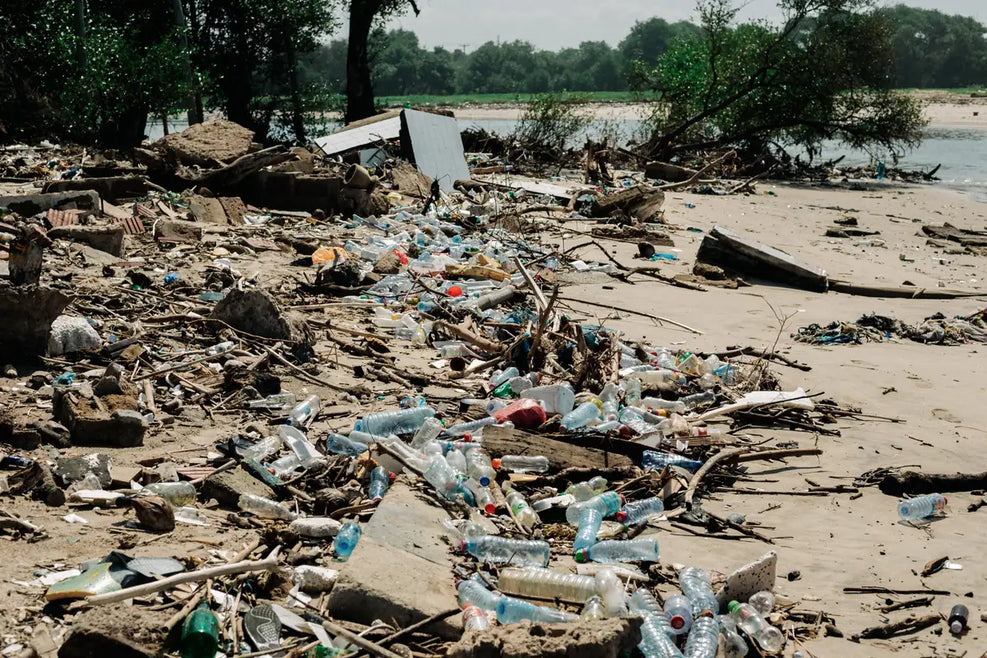 Support Beach Cleanup and Coastal Restoration in Ghana