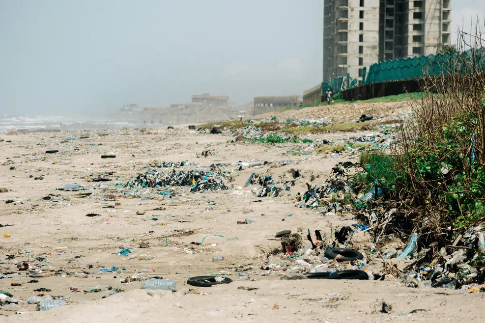 Support Beach Cleanup and Coastal Restoration in Ghana