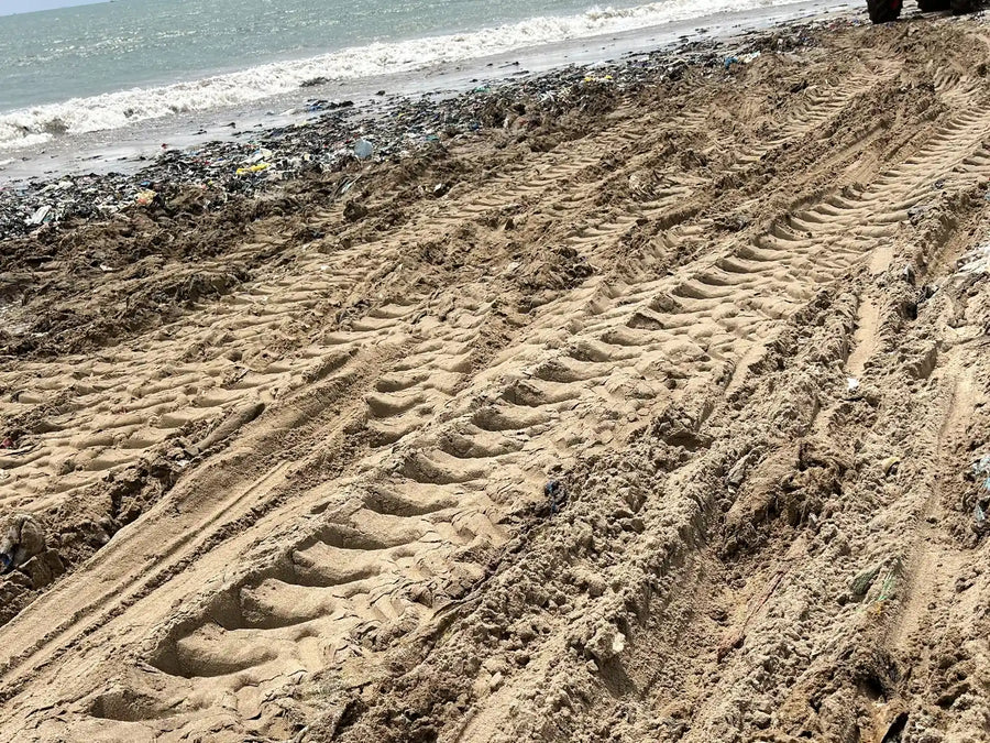 Sega Beach Cleanup